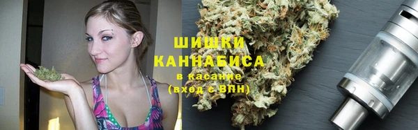 apvp Медногорск