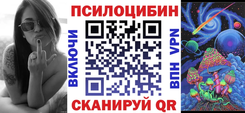 купить наркотики цена  Алатырь  Псилоцибиновые грибы MAGIC MUSHROOMS 